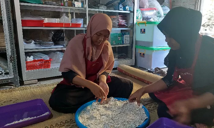 Mucuna Chips, Keripik Benguk Bikinan Penyandang Disabilitas di Kulon Progo